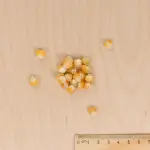 Potagères - Maïs Golden Bantam - BIO - MEDIA_3D